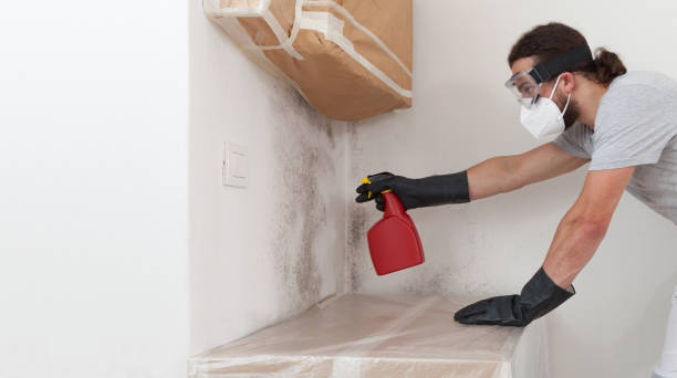 Professional Bathroom Mold Removal technician working in Oakdale, PA