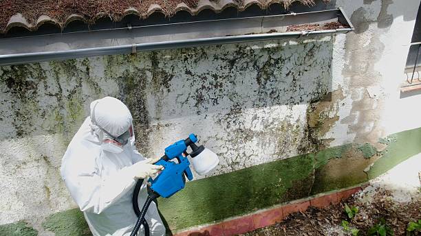 Top rated local Bathroom Mold Removal specialists in Oakdale, PA
